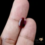 NATURAL KASHMIR RUBY-YAQOOT STONE- 1.85 CARAT