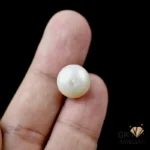 NATURAL MOTI-PEARL 10.95 CARAT