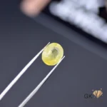 Oval-cut 5.18ct yellow sapphire gemstone held by tweezers, showcasing semi-transparent golden-yellow color