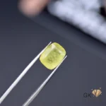 Cushion-cut yellow sapphire gemstone held by silver tweezers against dark background