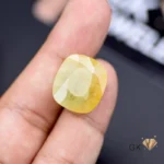 Cushion-cut 23.39-carat yellow sapphire gemstone held between fingers on a dark surface with blurred jewelry background